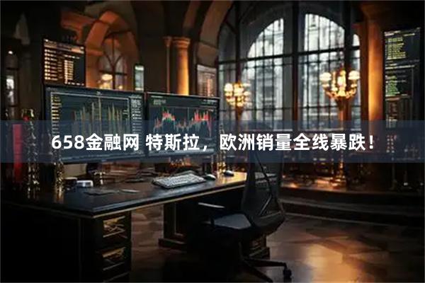 658金融网 特斯拉，欧洲销量全线暴跌！