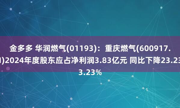 金多多 华润燃气(01193)：重庆燃气(600917.SH)2024年度股东应占净利润3.83亿元 同比下降23.23%