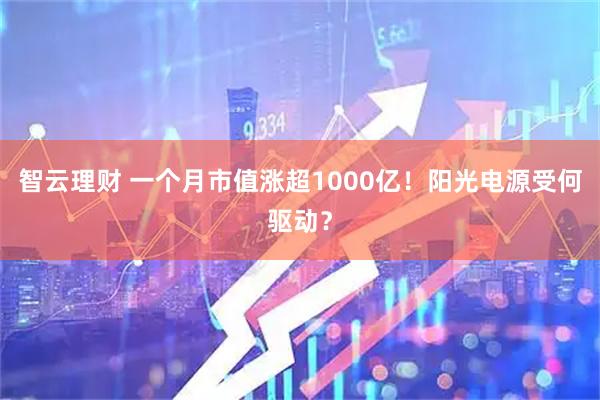 智云理财 一个月市值涨超1000亿！阳光电源受何驱动？