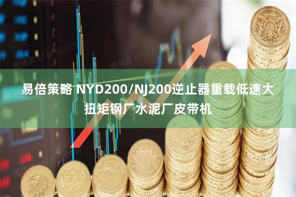 易倍策略 NYD200/NJ200逆止器重载低速大扭矩钢厂水泥厂皮带机