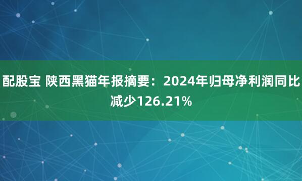配股宝 陕西黑猫年报摘要：2024年归母净利润同比减少126.21%